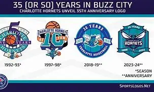 Image for Charlotte Hornets: A Buzzing History, Present, and Future