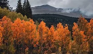 Image for Colorado Weather Forecast: A Guide to the Centennial State's Ever-Changing Skies