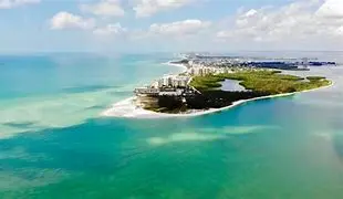 Image of Discover Manatee County, Florida: Beaches, Nature, and Coastal Charm