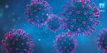 Image for HMPV Outbreak: Understanding the Rising Respiratory Virus