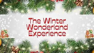 Image for The Magic of Snowfall: A Winter Wonderland Experience