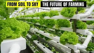 Image of The Quiet Revolution of Vertical Farming: Cultivating a Greener Future