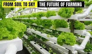 Image for The Quiet Revolution of Vertical Farming: Cultivating the Future