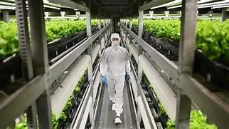 Image for The Unexpected Rise of Vertical Farming: From Niche to Necessity?