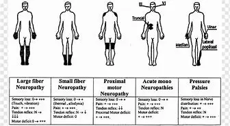 Image for Understanding Peripheral Sensory Neuropathy (PSN)