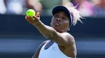 Image of Venus Williams: The Unwavering Icon of Power, Grace, and Resilience